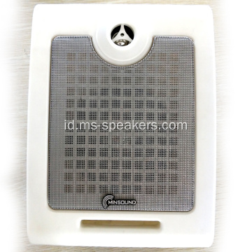 6.5 &#39;&#39; Premium Portabel Hifi Wall Speaker